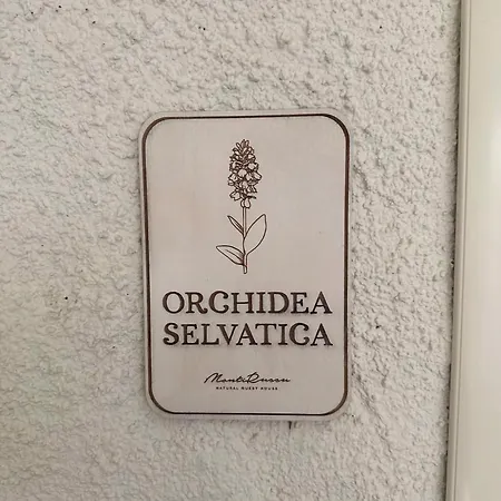 Monti Russu Natural Guest house Aglientu